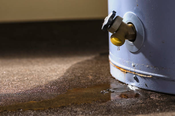 Best Sewage cleanup and water damage restoration  in Sandwich, IL