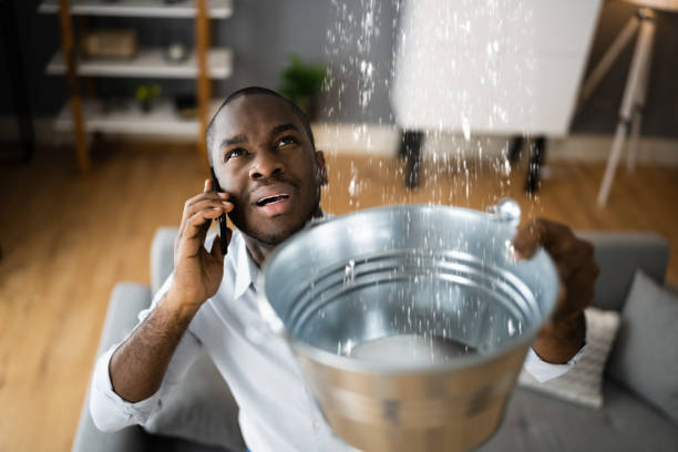 Best Sewage cleanup and water damage restoration  in Sandwich, IL