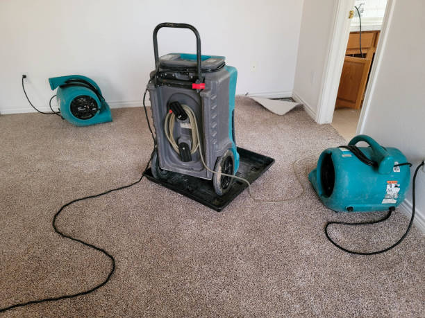 Best Water damage cleanup near me  in Sandwich, IL