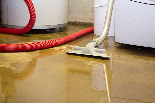 Best Emergency water damage restoration  in Sandwich, IL