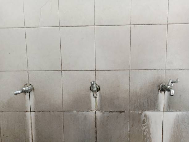 Best Water damage restoration near me  in Sandwich, IL