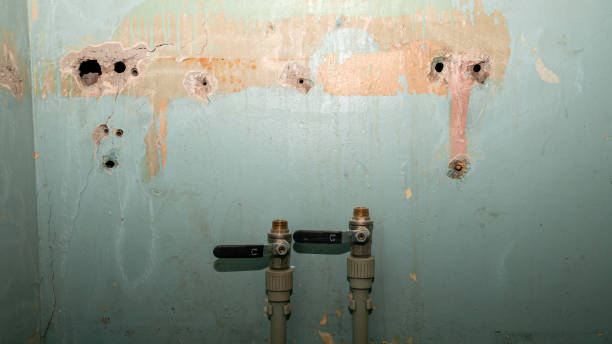 Best Flood damage cleanup  in Sandwich, IL
